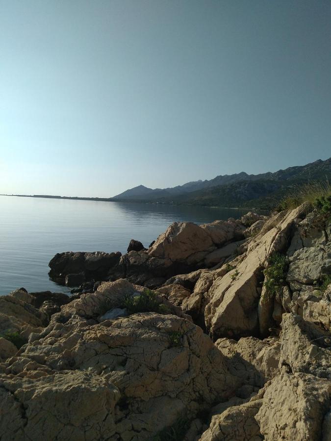 Apartman Larus Starigrad Paklenica Bagian luar foto