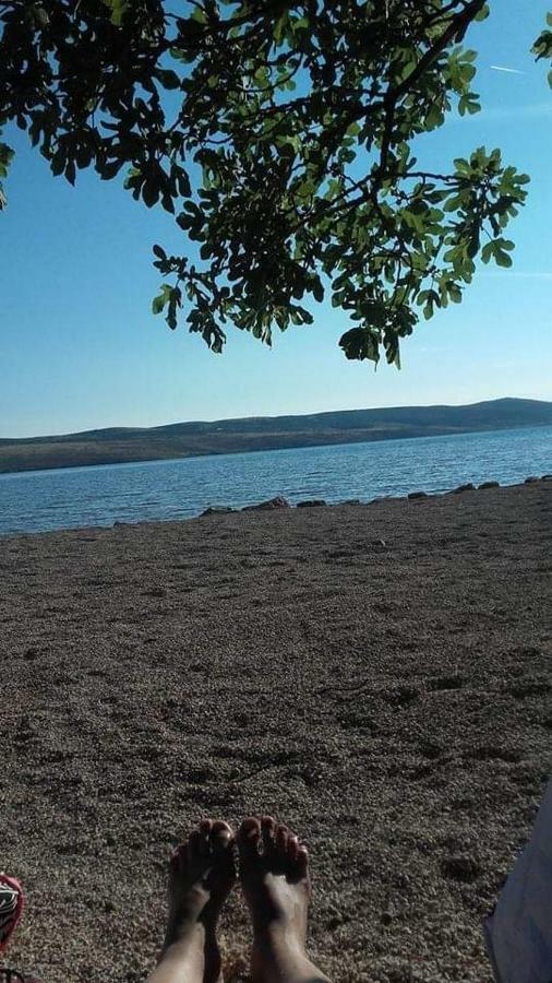 Apartman Larus Starigrad Paklenica Bagian luar foto